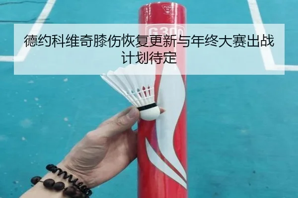 德约科维奇膝伤恢复更新与年终大赛出战计划待定(KaiyunSports)